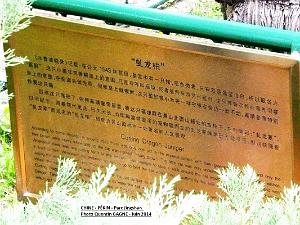 Pekin Jingshan 60